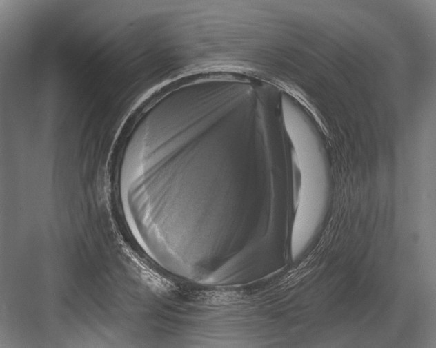 X0000082681024200702161653