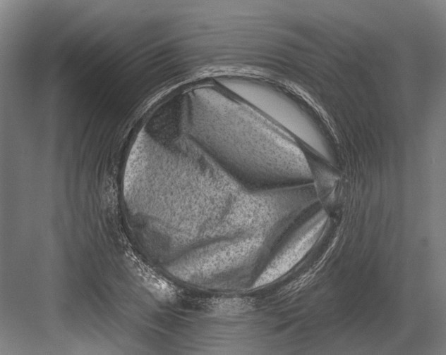 X0000082681025200702161653