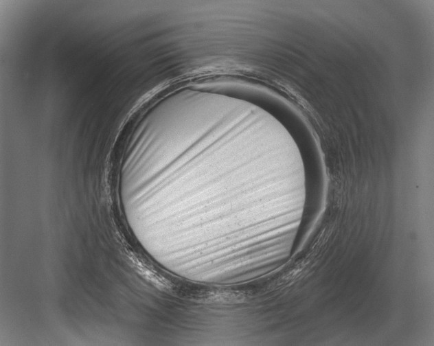 X0000082681026200702161653