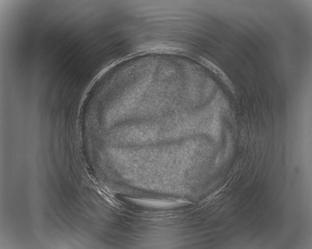 X0000082681027200702161653