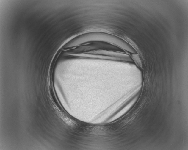 X0000082681028200702161653