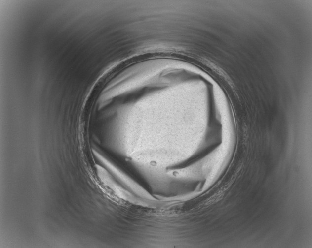 X0000082681029200702161653