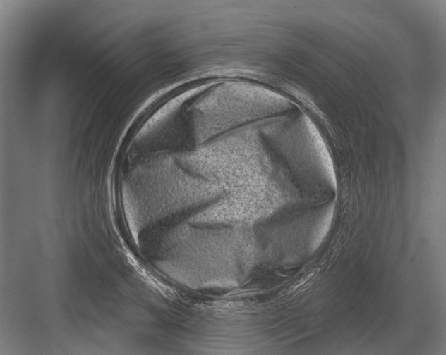 X0000082681032200702161653