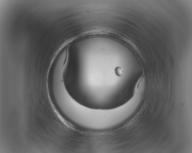 X0000082681034200702161653