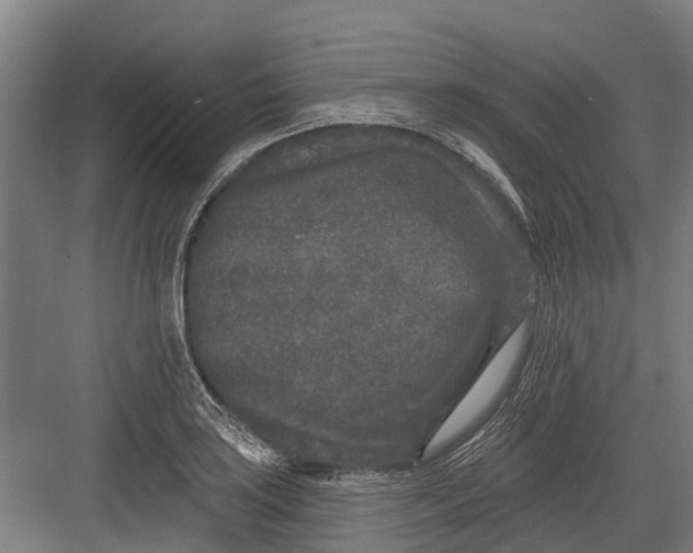 X0000082681035200702161653