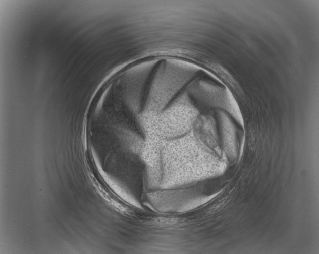 X0000082681036200702161653