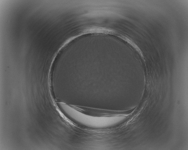 X0000082681037200702161653