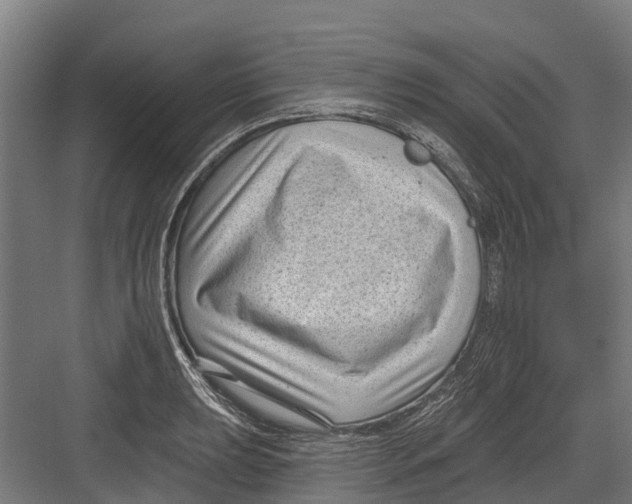 X0000082681039200702161653