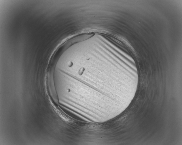 X0000082681040200702161653