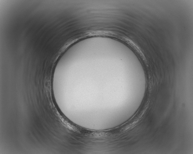 X0000082681041200702161653