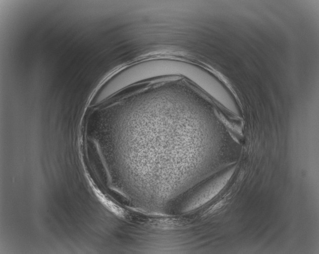 X0000082681042200702161653