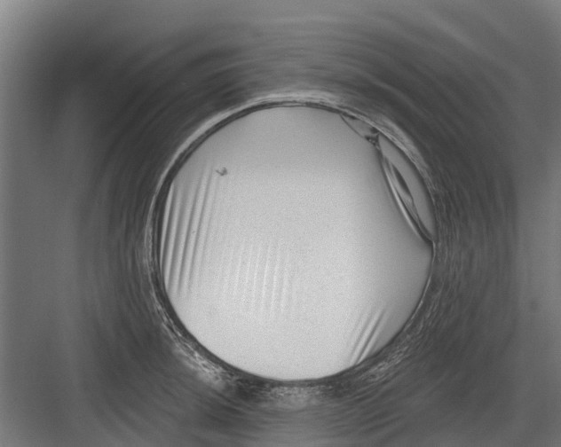 X0000082681044200702161653