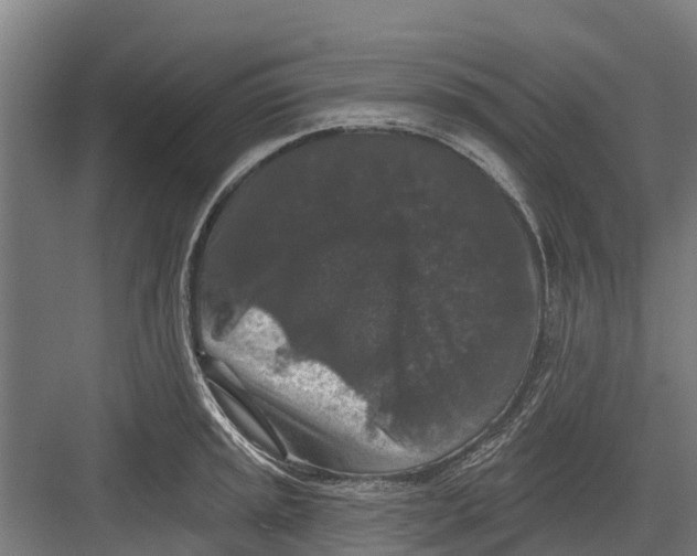 X0000082681045200702161653