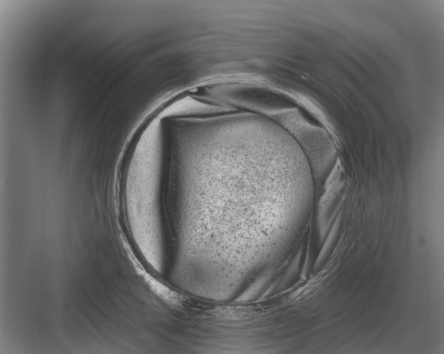 X0000082681046200702161653