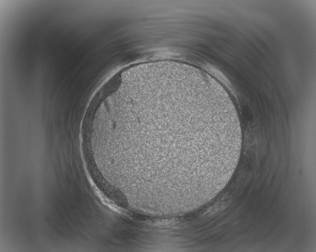 X0000082681047200702161653