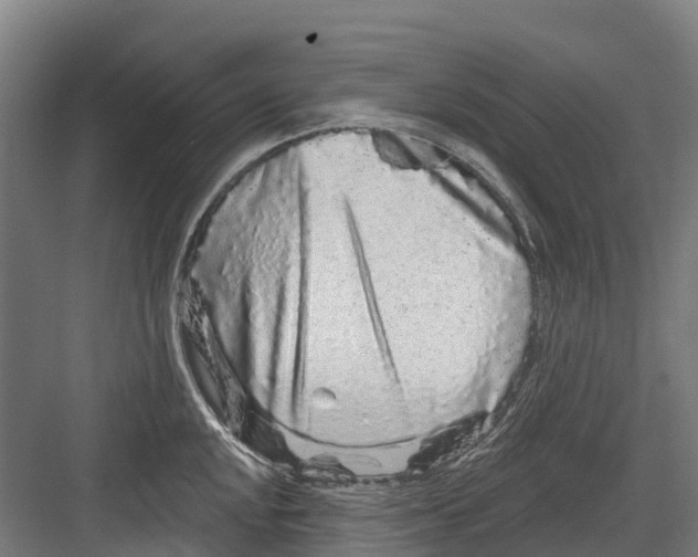 X0000082681048200702161653