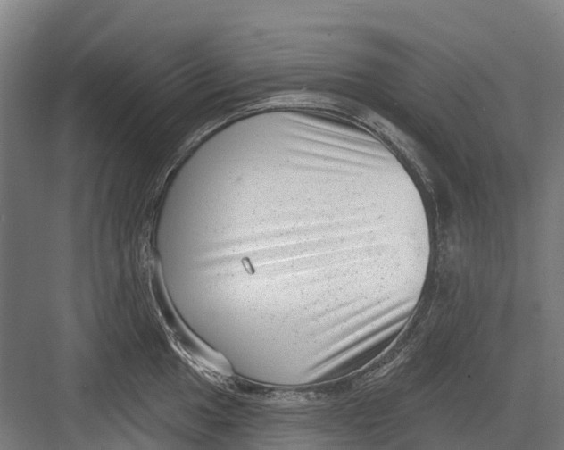 X0000082681049200702161653