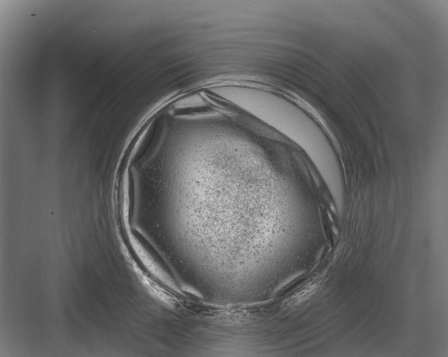 X0000082681050200702161653