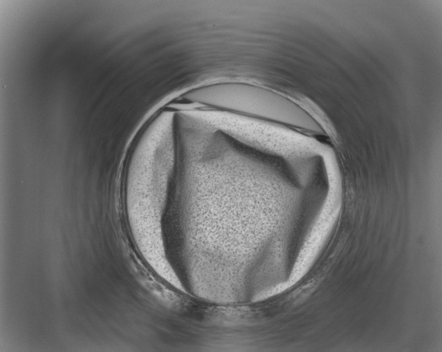 X0000082681052200702161653