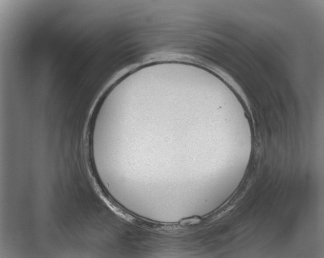 X0000082681053200702161653