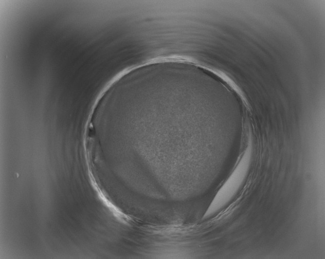 X0000082681054200702161653