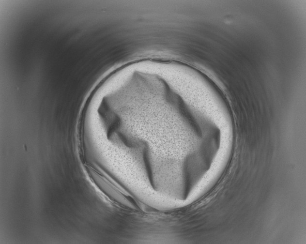 X0000082681056200702161653