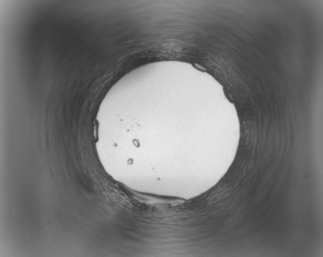 X0000082681057200702161652