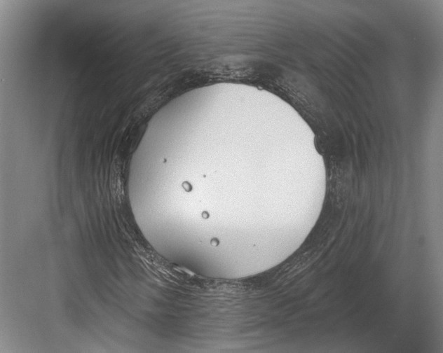 X0000082681058200702161652