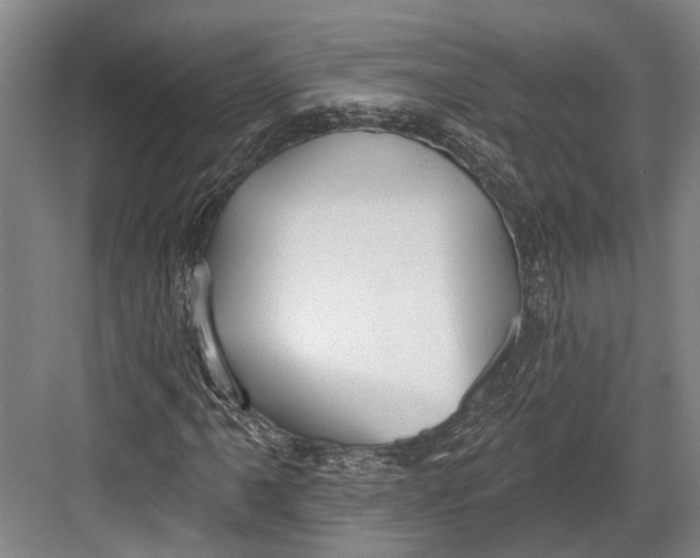 X0000082681061200702161652