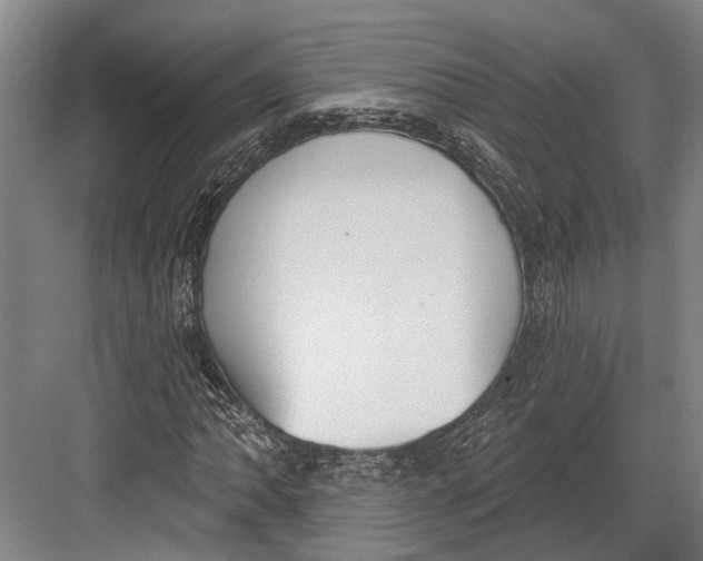 X0000082681062200702161652