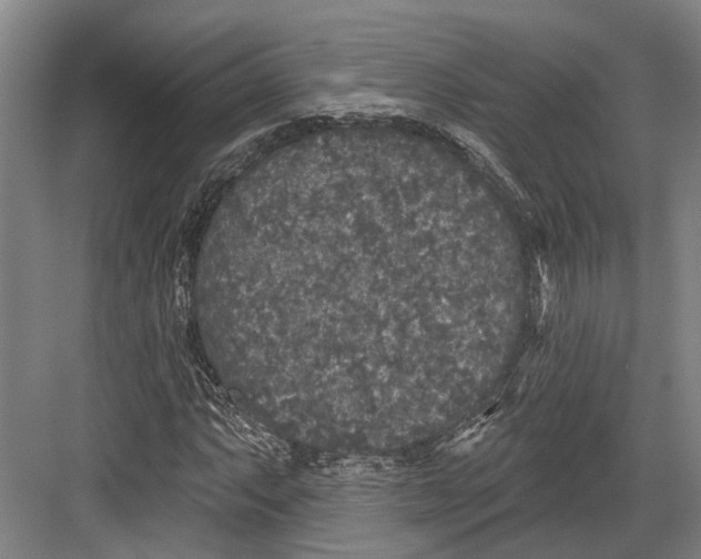 X0000082681063200702161652