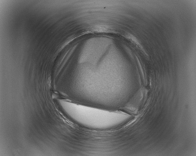 X0000082681065200702161652