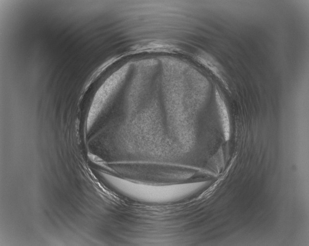 X0000082681066200702161652