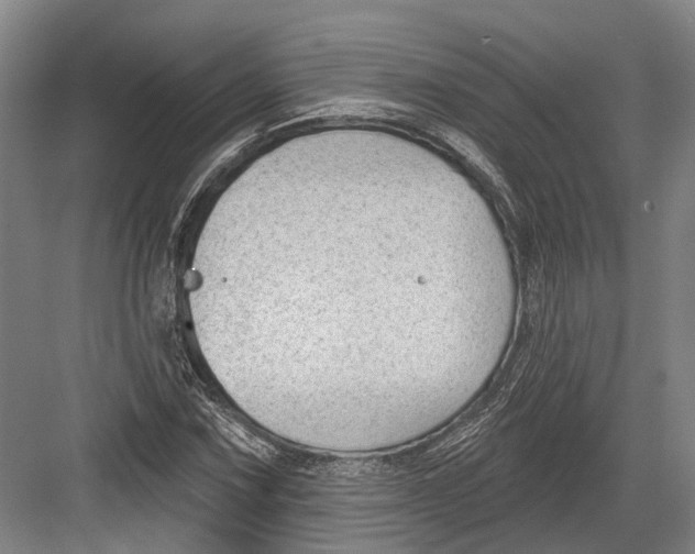 X0000082681067200702161652