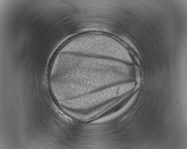 X0000082681068200702161652