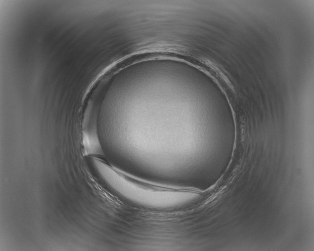 X0000082681069200702161652