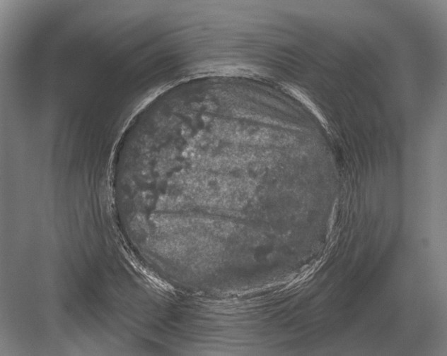 X0000082681071200702161652