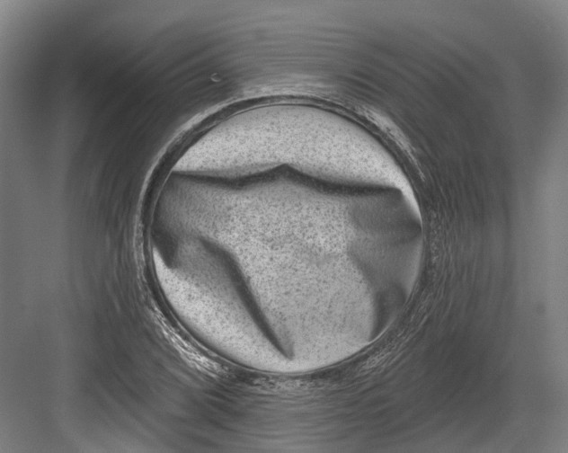 X0000082681072200702161652