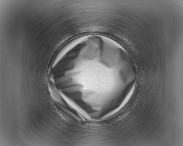 X0000082681073200702161652