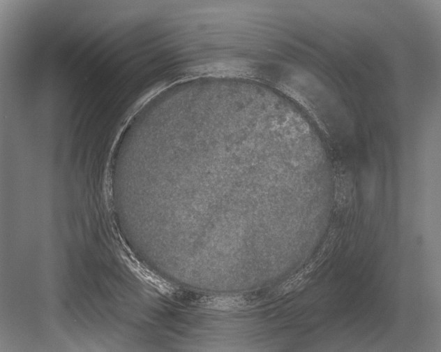 X0000082681074200702161652