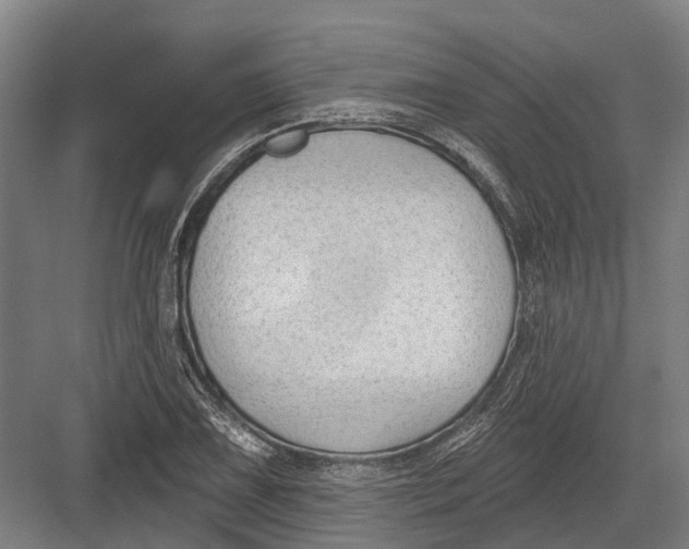 X0000082681075200702161652