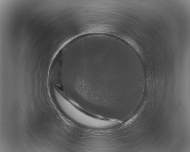 X0000082681077200702161652