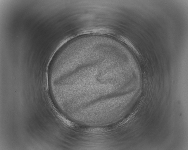 X0000082681079200702161652