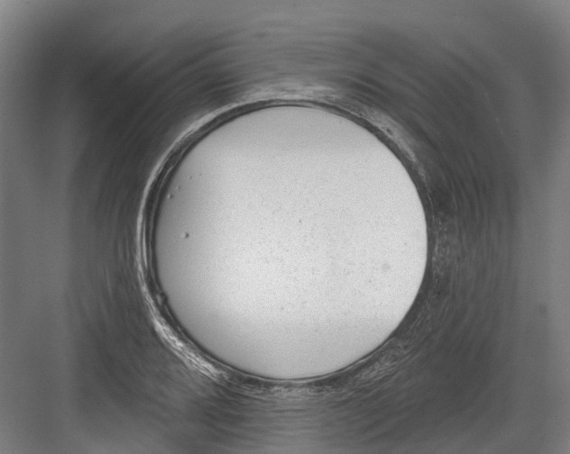 X0000082681080200702161652