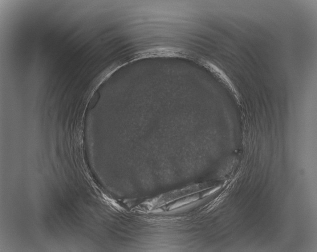 X0000082681081200702161652