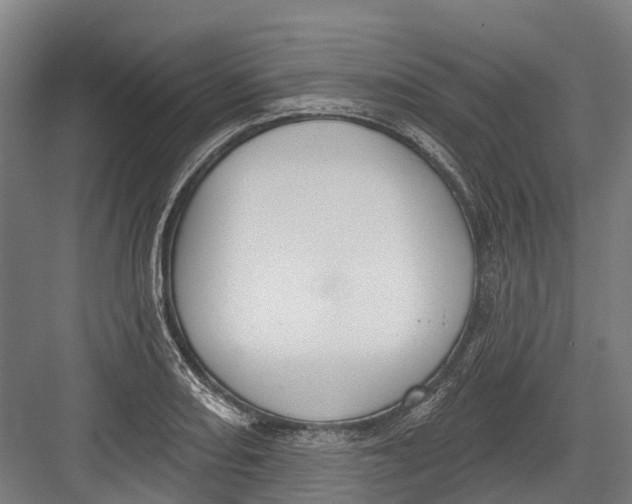 X0000082681082200702161652