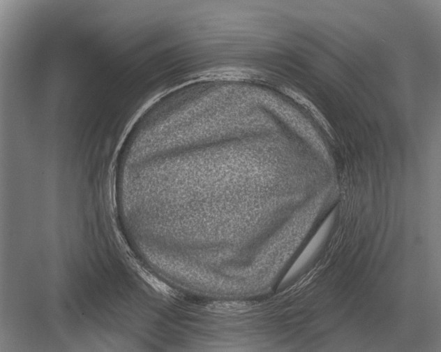 X0000082681083200702161652