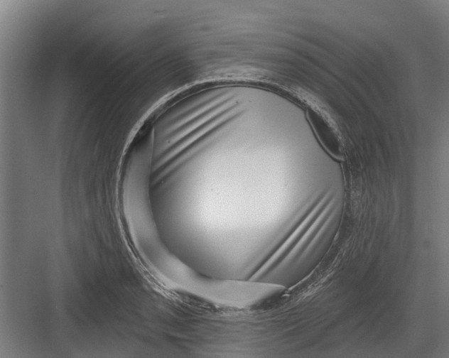 X0000082681085200702161652