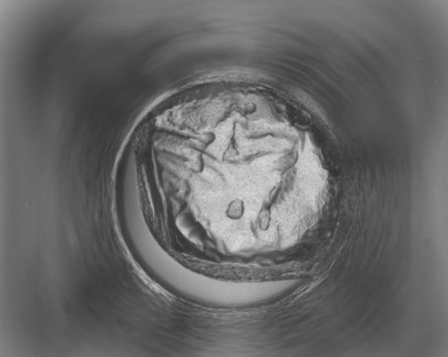 X0000082681087200702161652