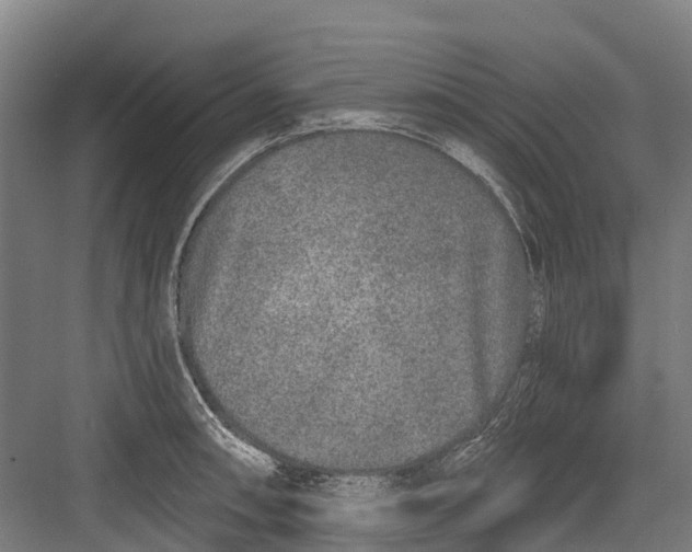 X0000082681090200702161652